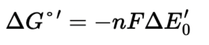 <p>A measure of a molecule’s tendency to donate or accept electrons</p><ul><li><p>Negative reduction potential → readily donates electrons, strong reducing agent, wants to get oxidized; ex. NADH</p></li><li><p>Positive reduction potential → readily accepts electrons, strong oxidizing agent, wants to get reduced; ex. O<sub>2</sub></p></li><li><p>High reduction potentials will release more free energy when reduced, allowing more protons to be pumped</p></li></ul><p></p>