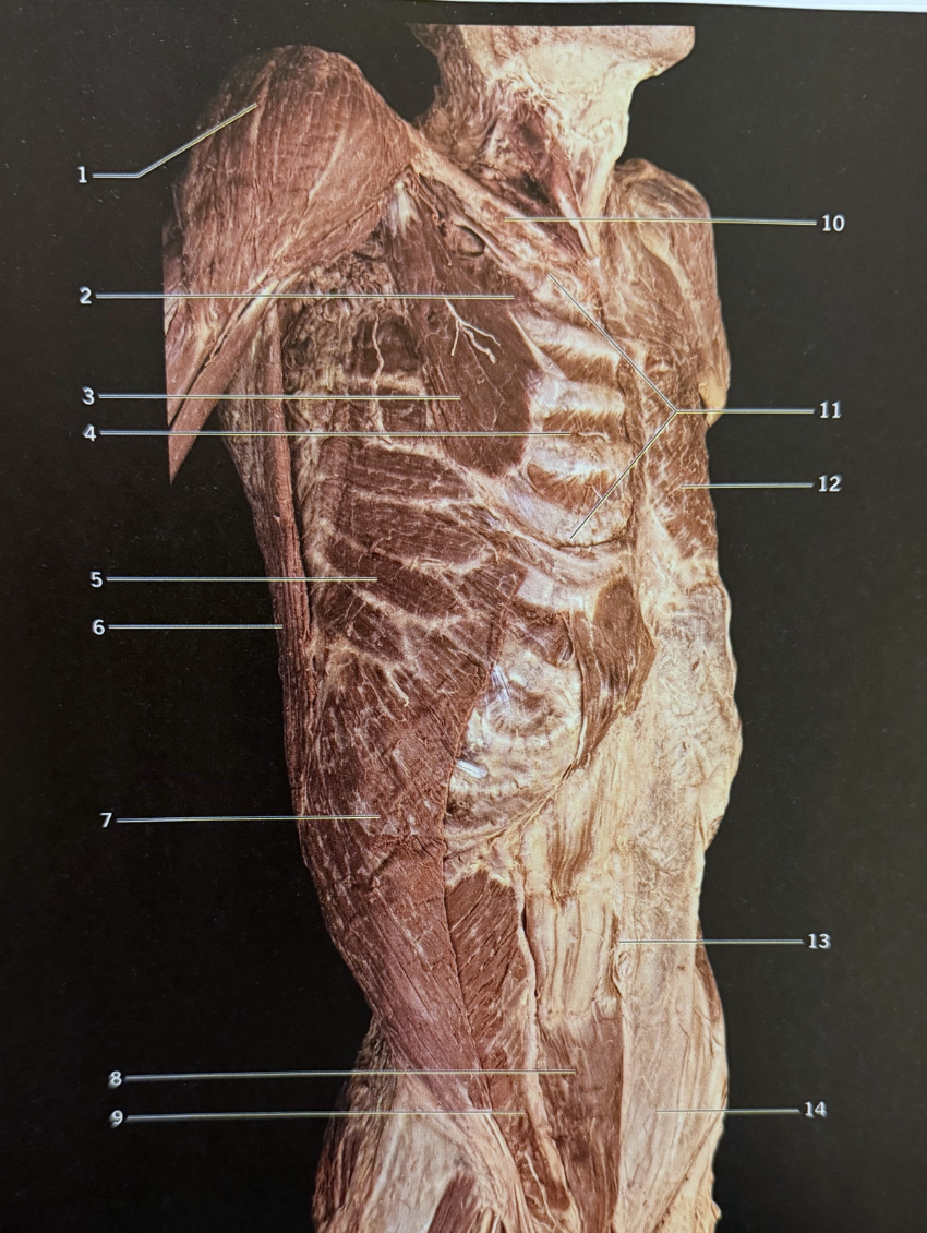 <p>3</p>