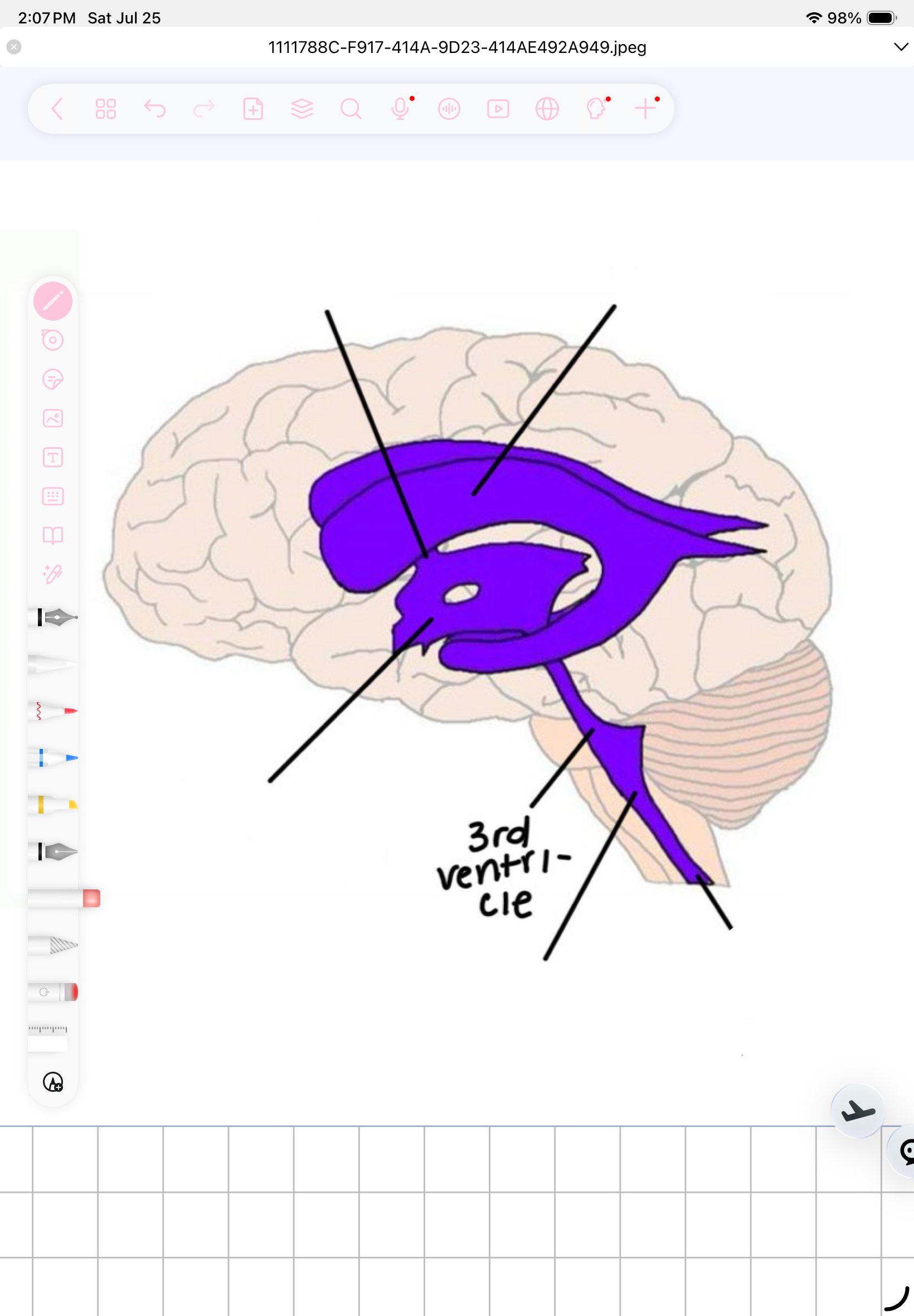 term image