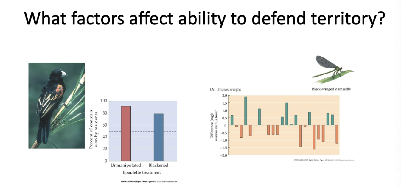 <p>explain these flip for more </p>