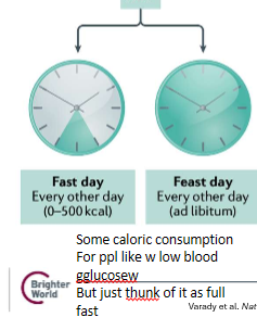 <p>alternate day fasting. </p>