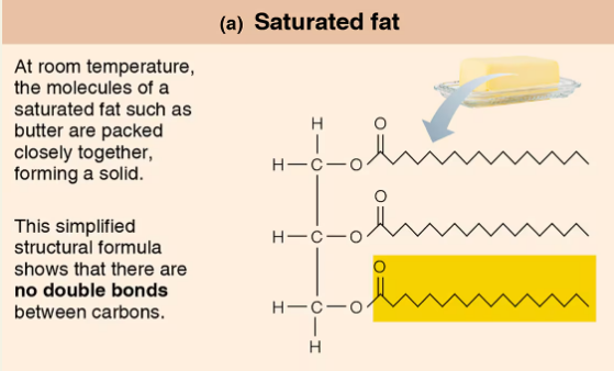 <p><span style="background-color: transparent;"><strong> Saturated fatty acids</strong></span></p>