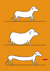 <p>gầy gò</p>