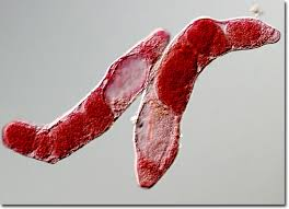 <p>What is this? </p>