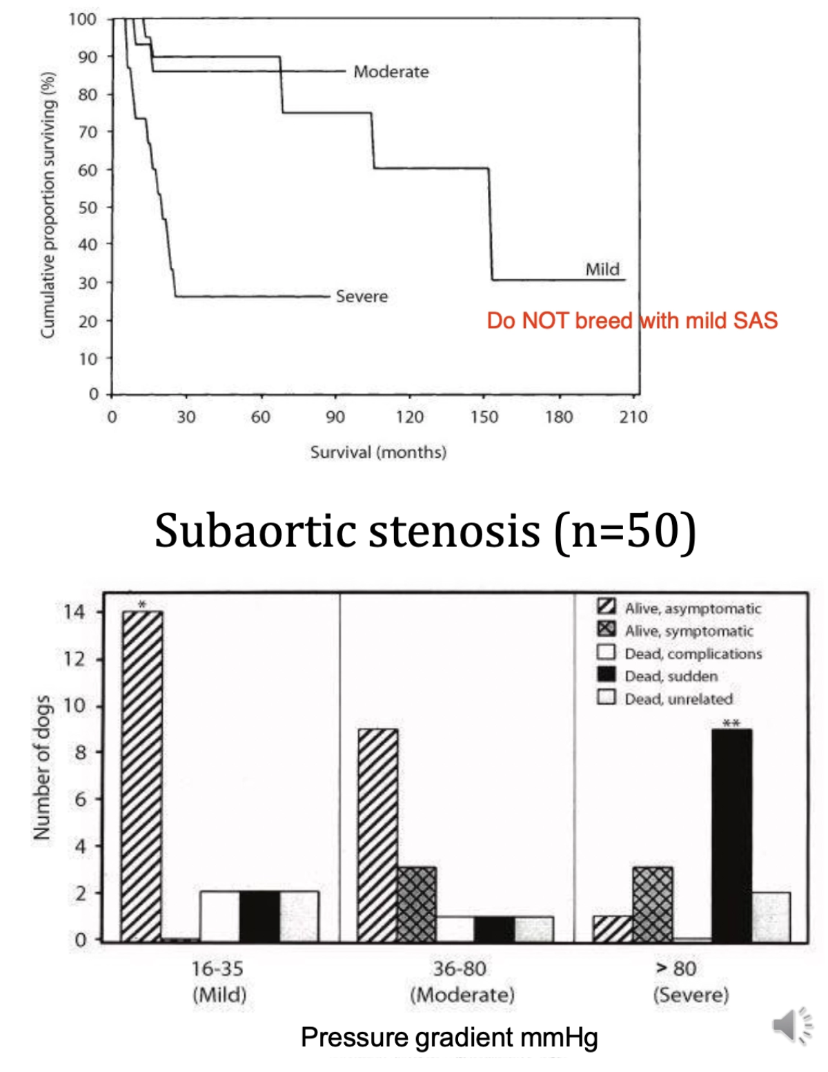 <p><u>Treatments:</u></p><ol><li><p>Balloon dilation of stenotic valve (NOT often successful vs. PS)</p></li><li><p>β-1 blockers (eg. atenolol)</p><ul><li><p>Reduce HR in moderate to severe cases</p></li><li><p>Prevent arrhythmic effect of catecholamines in body and reduce myocardial O2 demand</p></li><li><p>Increased coronary perfusion</p></li></ul></li><li><p>Exercise restriction</p></li></ol><p><u>Prognosis:</u> Poor if severe</p>