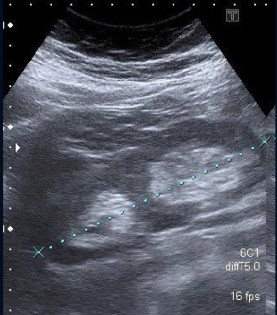 <p>What is this?</p>