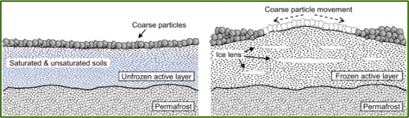 <p>Ice wedge - crack in the ground that fills with water, freezes, and slowly gets bigger as it repeatedly freezes and thaws. </p><p>Patterned ground - ground arranged in shapes (like polygons) formed by freezing water pushing rocks and soil into patterns. </p>