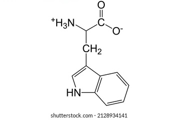 <p>name the following amino acid</p>