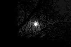 <p>(adj) Tối u uất, trang nghiêm, ảm đạm (/ˈsɒmbə/). Ví dụ: It was a sombre room with dark, heavy curtains.</p>