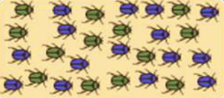 <p>Identify and define the mode of speciation.</p>