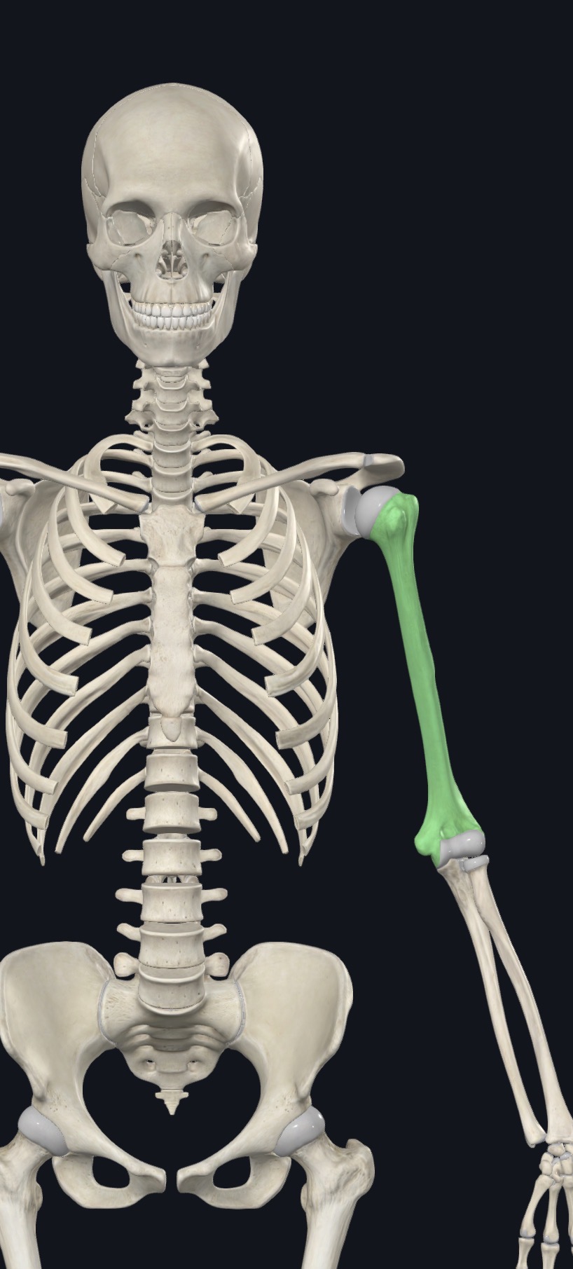 <p>what is this?</p>