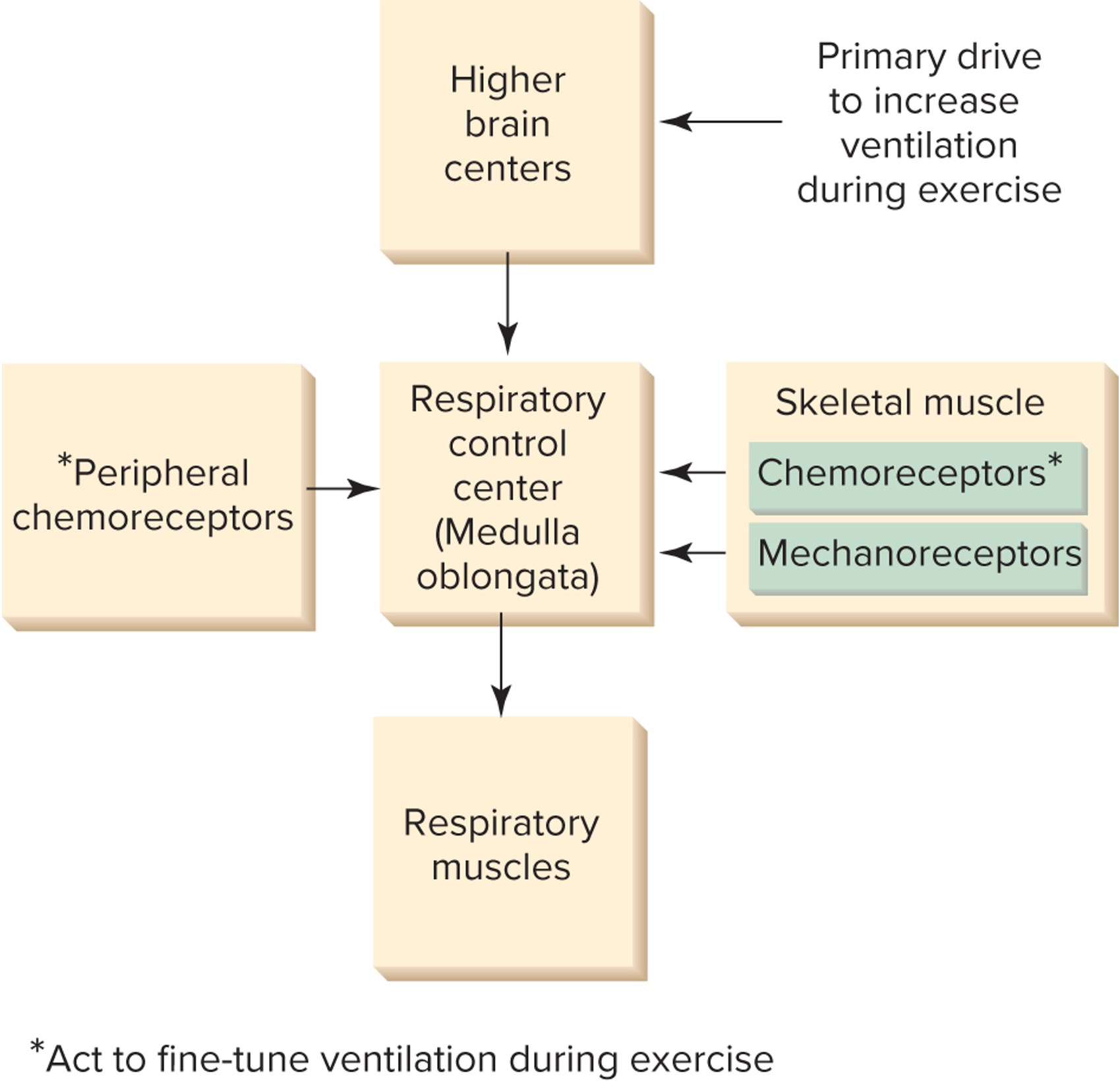 <p>fill in this chart</p>