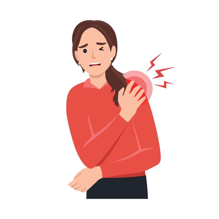 <p>shoulder</p>