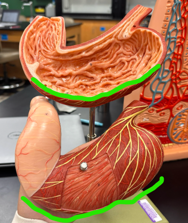 <p>What is the arrow pointing at?</p>