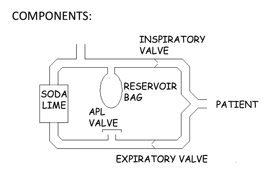 <p><u>COMPONENTS:</u></p><p>• Soda lime canister</p><p>• Reservoir bag</p><p><strong>• Unidirectional valves</strong></p><ul><li><p>Flow through soda lime is unidirectional - gas needs to go in one direction</p></li></ul><p>• Patient size - depends!</p><ul><li><p>Human adult circle > 15 kg</p></li><li><p>Veterinary specific circles ≥ 10 kg</p></li></ul><p></p>
