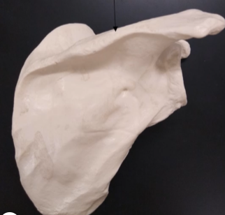 <p>What is this?</p>