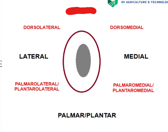 <p>what is it</p>