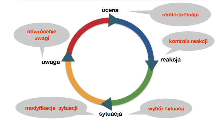 <p>PROCESUALNY MODEL REGULACJI EMOCJI</p>