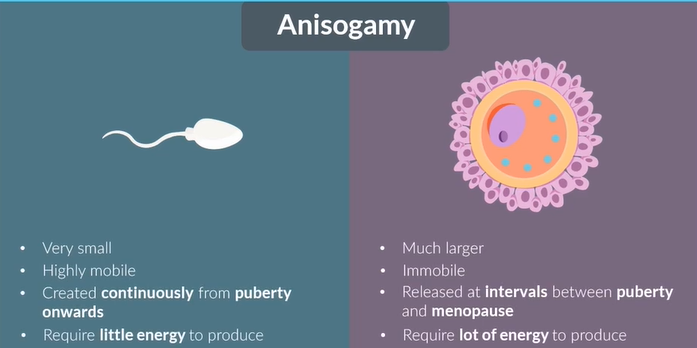 <p>sex </p><p>inter</p>