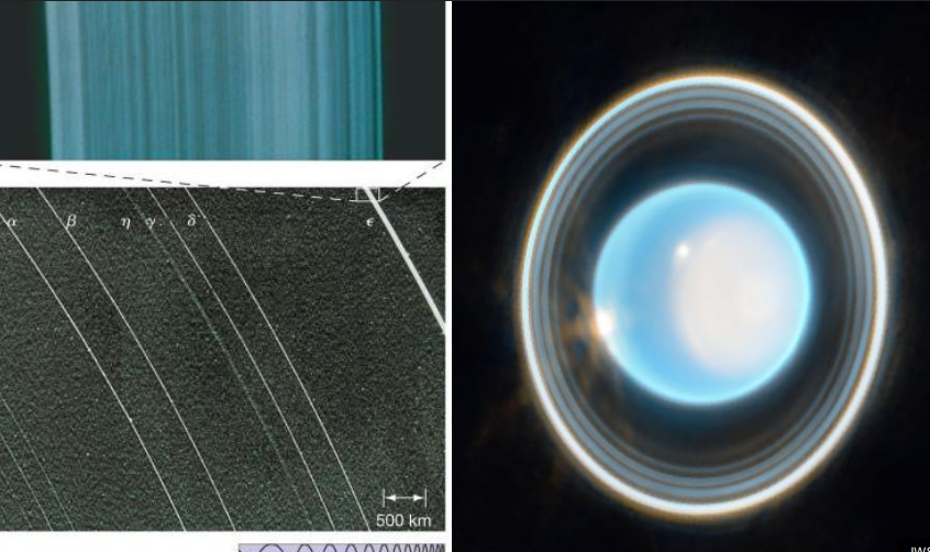 <ul><li><p>water like compounds, young, replenished by collisions from moons</p></li></ul><p></p>