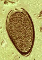 <p>What is this?</p>