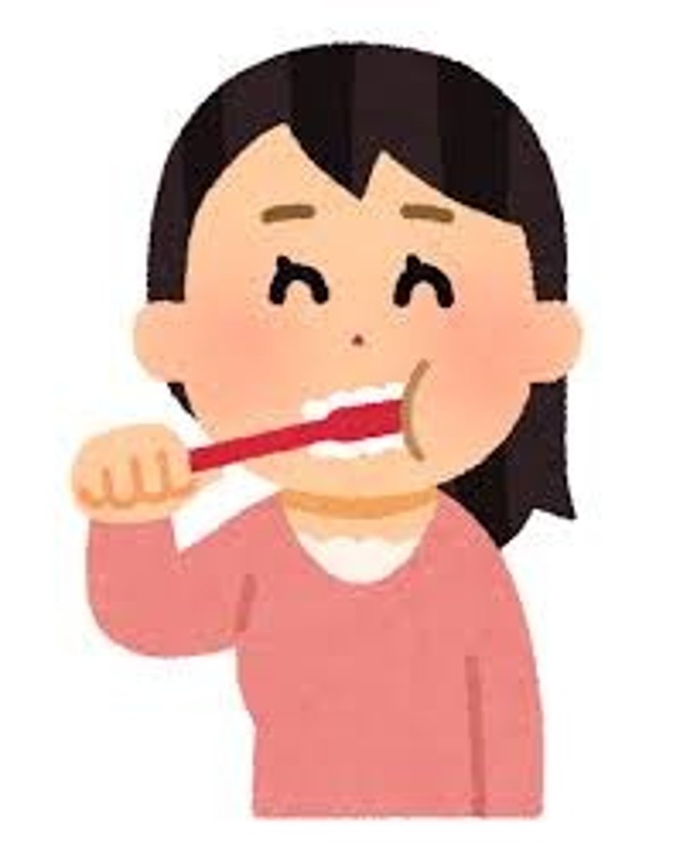 <p>to brush one's teeth</p>