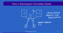 <p>How a Stereogram Stimulates Depth (Pic)</p>
