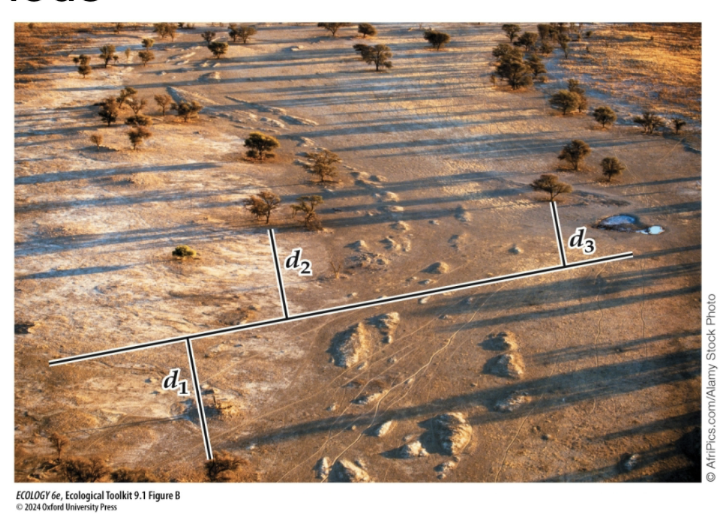 <p>Distance methods: Line transects</p>