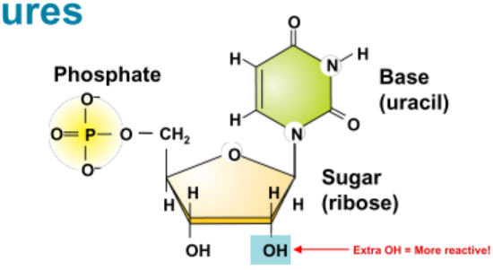 <p>What kind of molecule is this?</p>