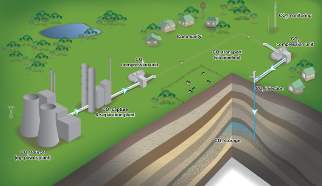<ul><li><p>extracts CO2 from gases</p></li><li><p>CO2 capture &amp; separation → CO2 compression unit → transport via pipeline → CO2 compression unit → CO2 injection &amp; storage</p></li></ul><p></p>