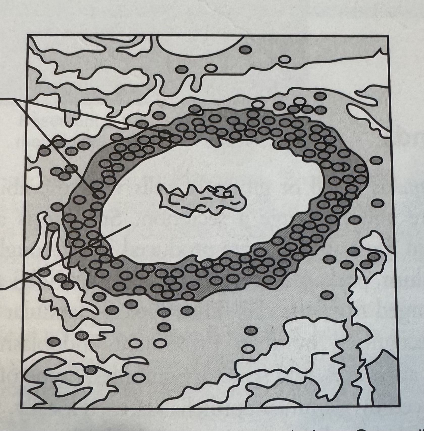 <p>What kind of epithelial tissue is this?</p>