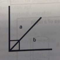 <p>Complementary angles</p>