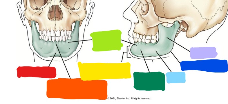 <p>What is Dark Green?</p>