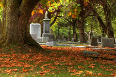 <p>cemetery</p>