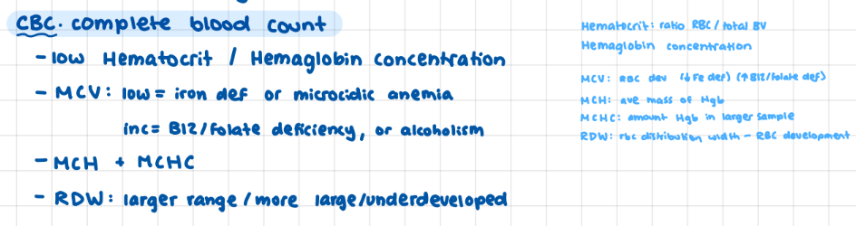 <p>MCV </p><p>(low: fe def/microacidic anemia) (high: B12/folate deficiency)</p><p></p>