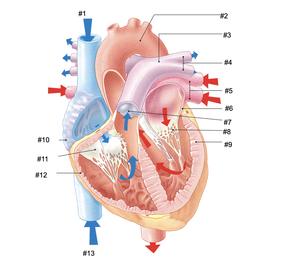<p>#5</p>