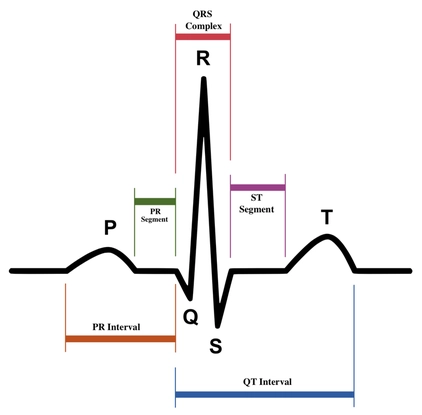 <p>Q-T interval represents:</p>