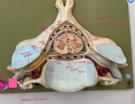 <p>What is being shown? </p>