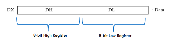 <ul><li><p>Used in input/output operations.</p><ul><li><p>holds the port number for the IN and OUT instructions</p></li></ul></li><li><p>Can be used with AX for multiply and divide operations involving large values.</p></li></ul><p></p>