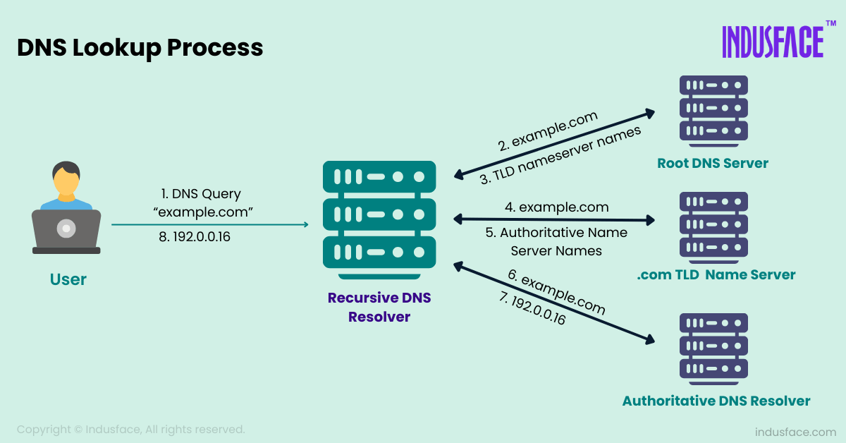 <p>A: Domain Name System — translates fully qualified domain names (like professormesser.com) into IP addresses </p>