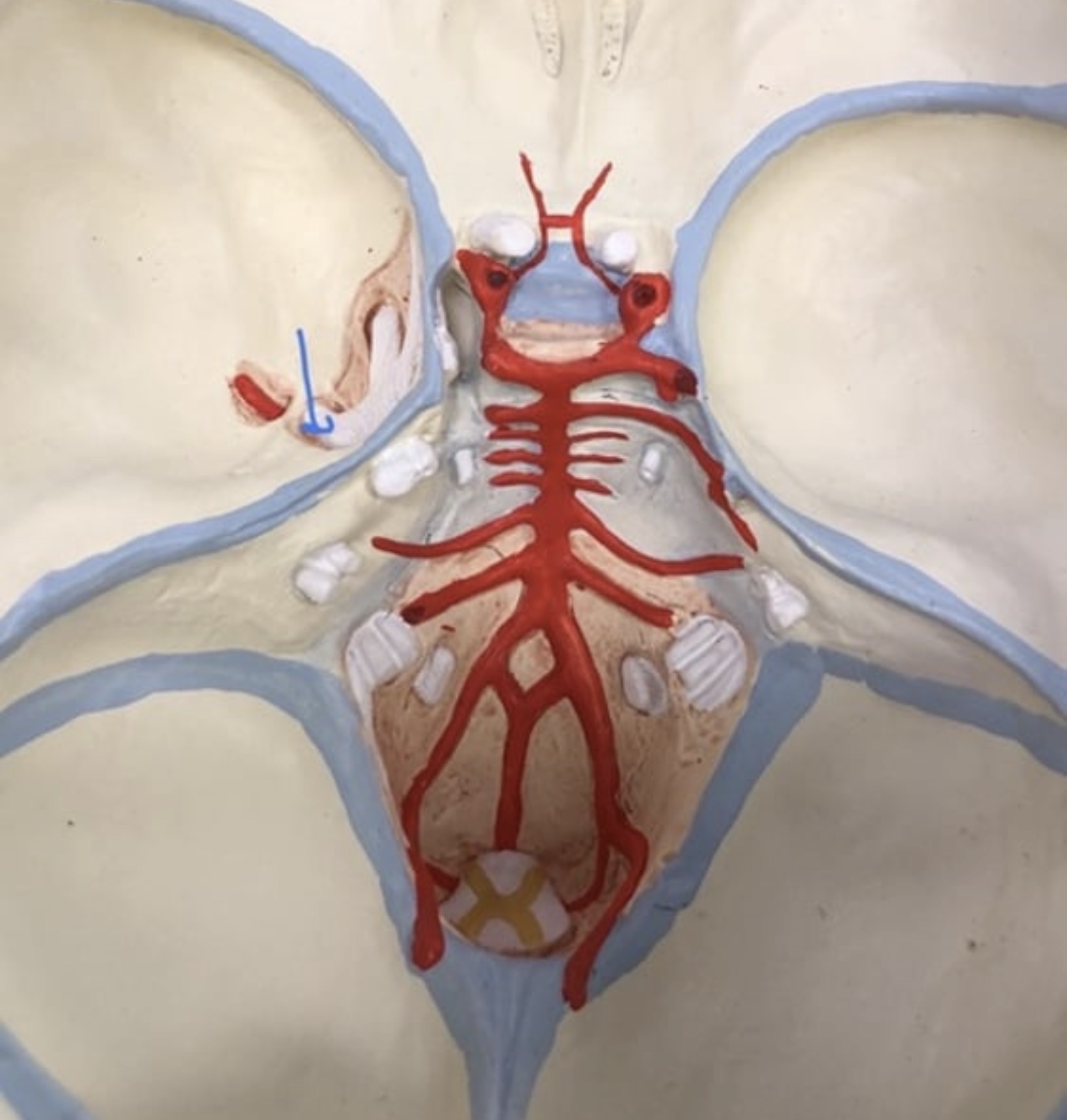 knowt flashcard image