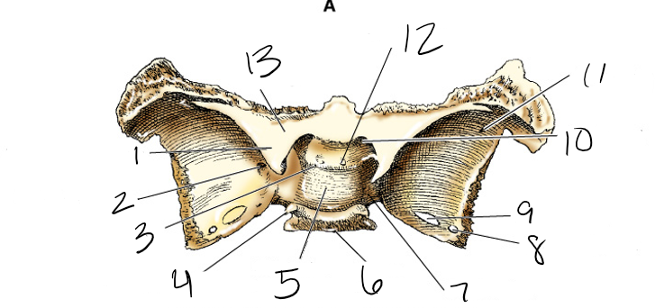 <p>what is 12?</p>
