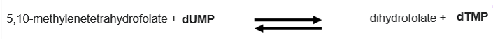<p>one-carbon metabolism to acquire a methyl group - 5,10-methylenetrahydrofolate and dUMP uses thymidylate synthase to generate dihydrofolate and dTMP </p>
