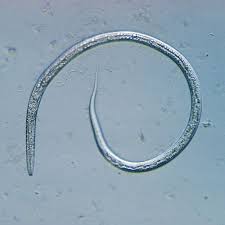 <p>What is this?</p>