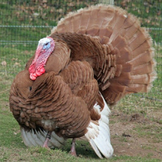 <p>identify</p>
