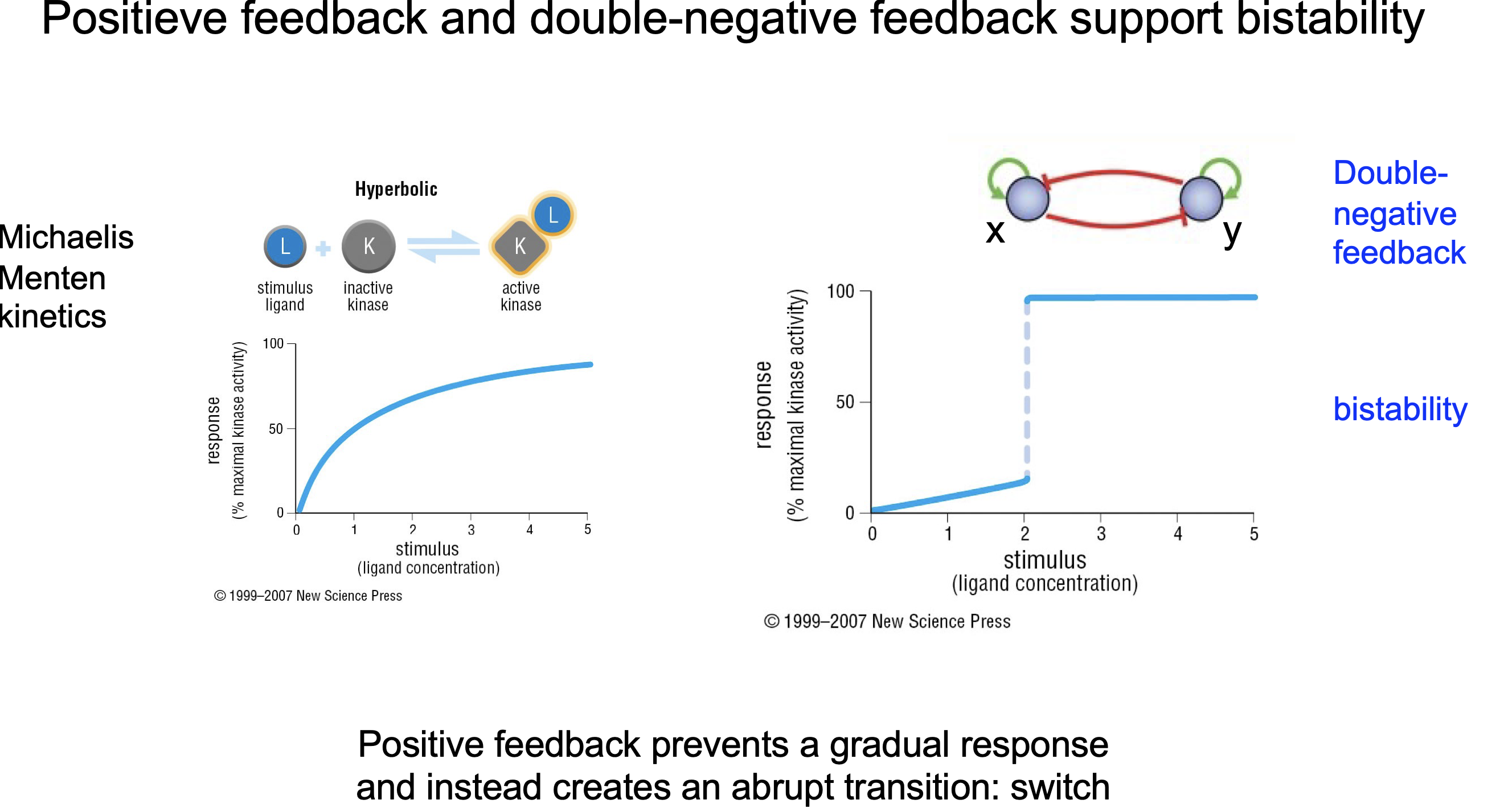 <ul><li><p>In bio mostly transition state unstable</p></li><li><p>Positive feedback</p></li><li><p>Negative feedback</p></li></ul><p></p><ul><li><p>Dubble negative feedback see picture</p></li></ul><p></p>