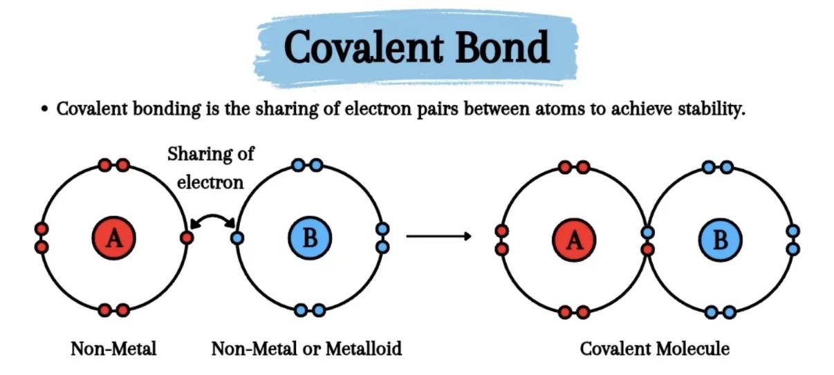 <p>A covalent bond (which can be single, double or triple) between a metal and nonmetal with intermolecular forces also present. Electrons are shared</p>
