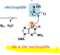 <p>How does carmustine work?</p>