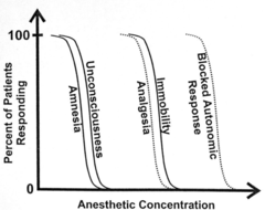 <p>Does anesthesia first cause amnesia or analgesia?</p>