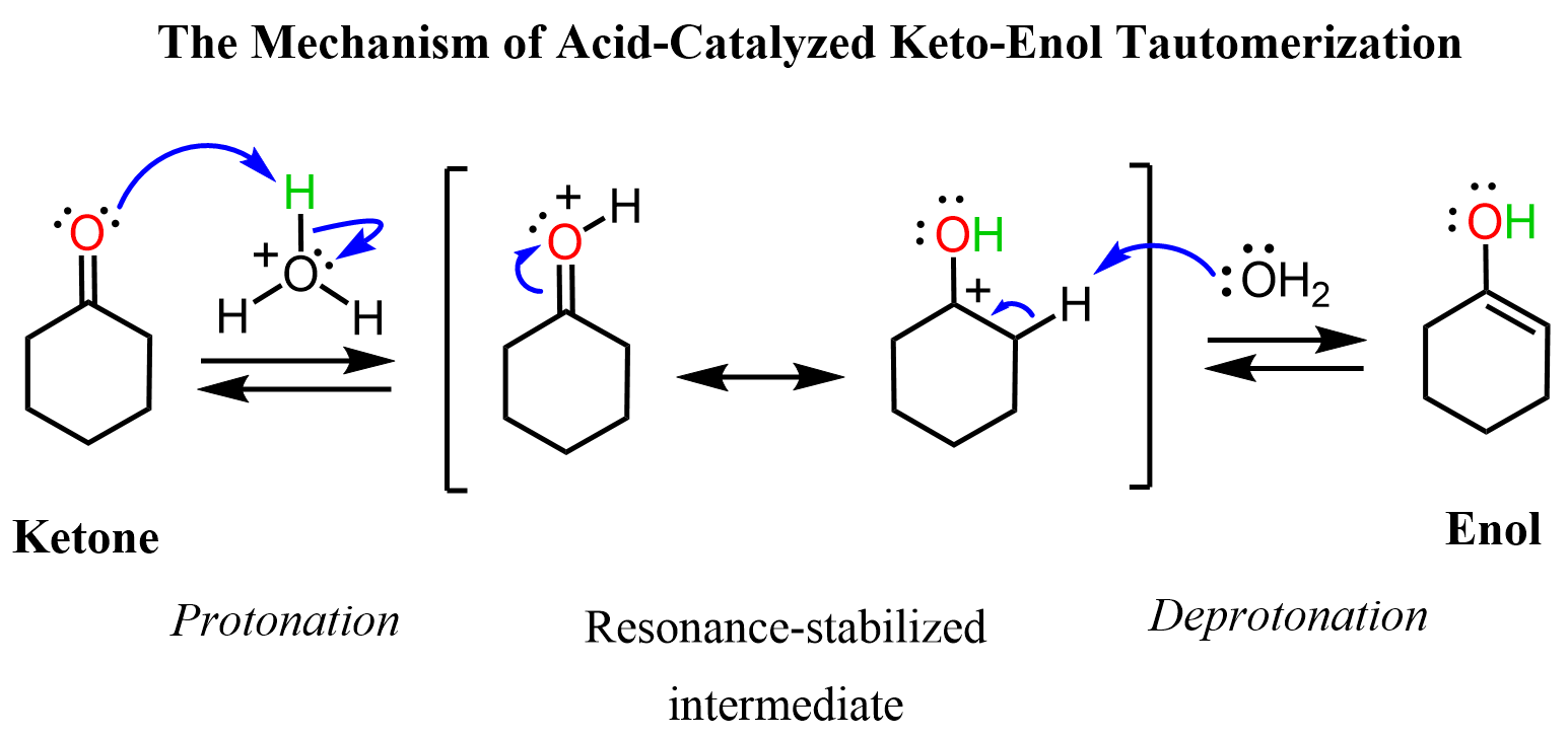 <p>first create an enolate</p>